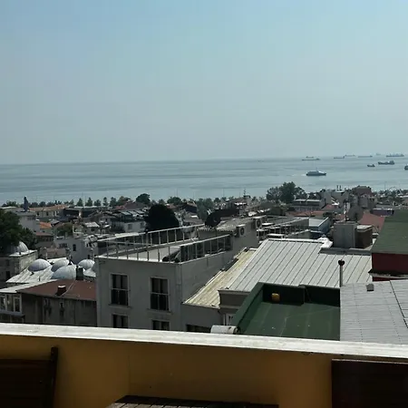 迪瓦斯西尔维酒店 酒店 伊斯坦布尔