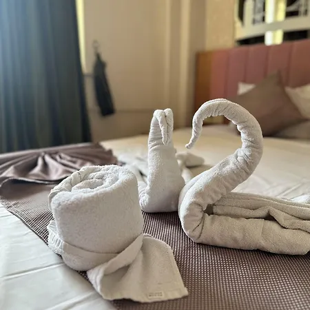 迪瓦斯西尔维酒店 伊斯坦布尔