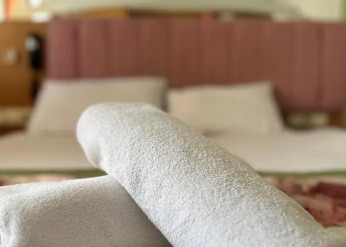 迪瓦斯西尔维酒店 伊斯坦布尔