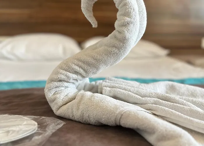 迪瓦斯西尔维酒店 酒店 3*