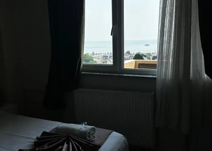 迪瓦斯西尔维酒店 3*