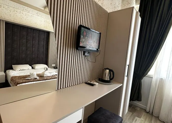 迪瓦斯西尔维酒店 3* 伊斯坦布尔