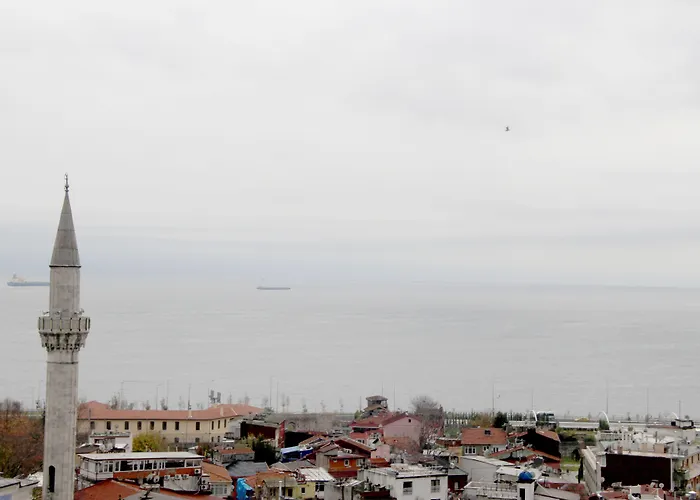 迪瓦斯西尔维酒店