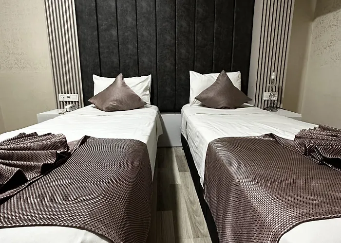 迪瓦斯西尔维酒店 酒店 3*