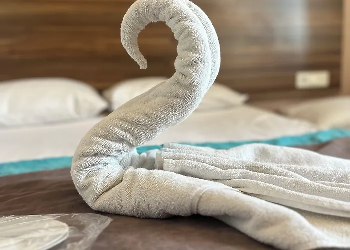 迪瓦斯西尔维酒店 酒店