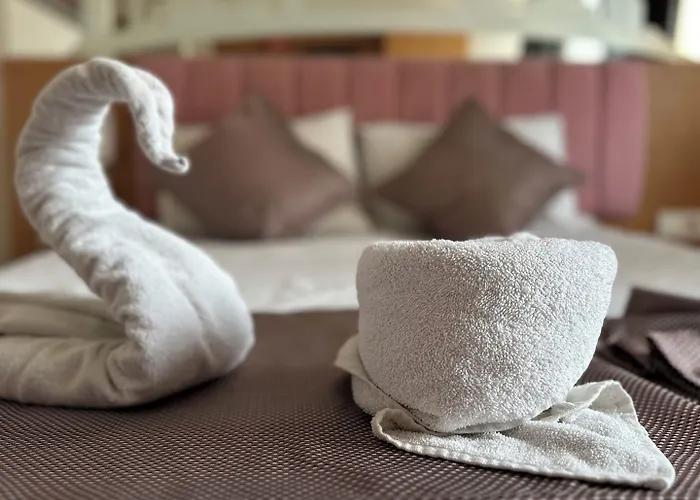 酒店 迪瓦斯西尔维酒店