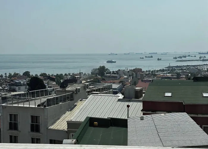 迪瓦斯西尔维酒店 酒店 3*