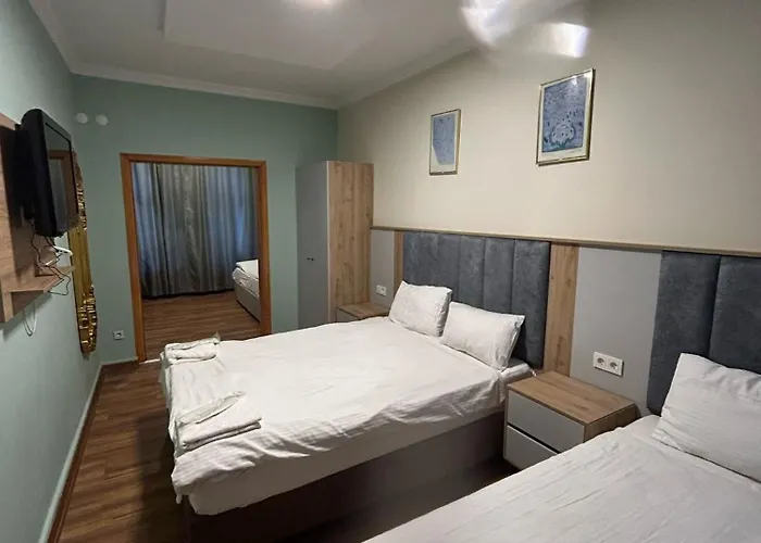 迪瓦斯西尔维酒店 3* 伊斯坦布尔