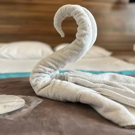 Divas Silver Ξενοδοχείο 3*