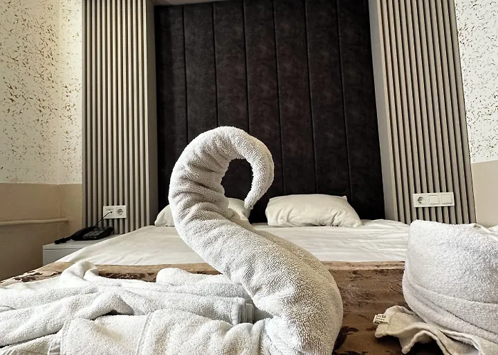 Divas Silver Hotell 3*